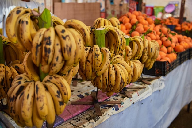 Plátanos en el mostrador del auténtico mercado egipcio frutas frescas en el bazar de la calle