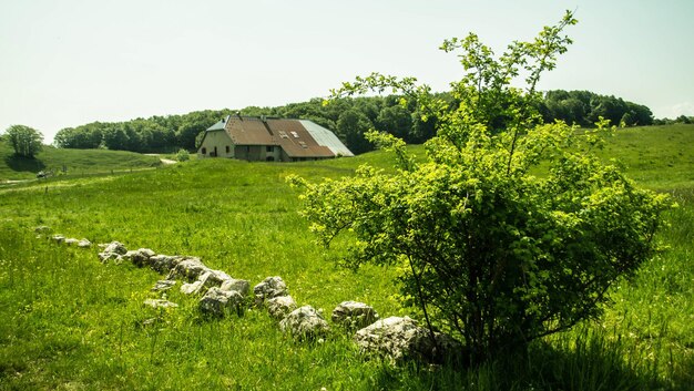 Foto plateau von retord in ain in frankreich