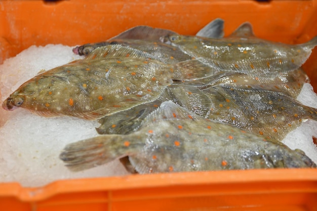 Foto platija con manchas naranjas en contenedores de hielo en el mercado