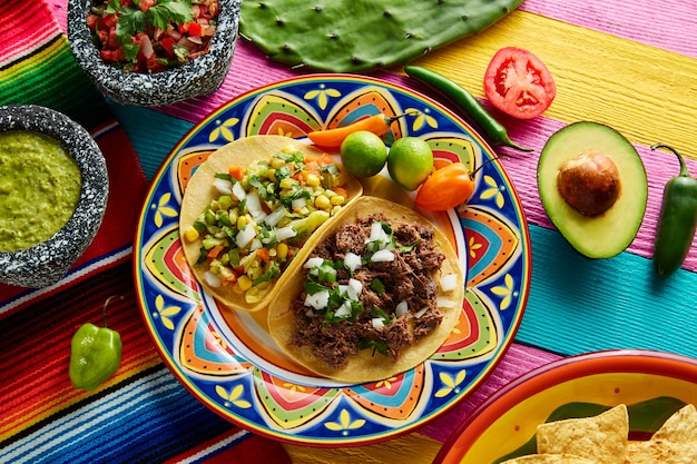 Platillo mexicano tacos de barbacoa y vegetariana