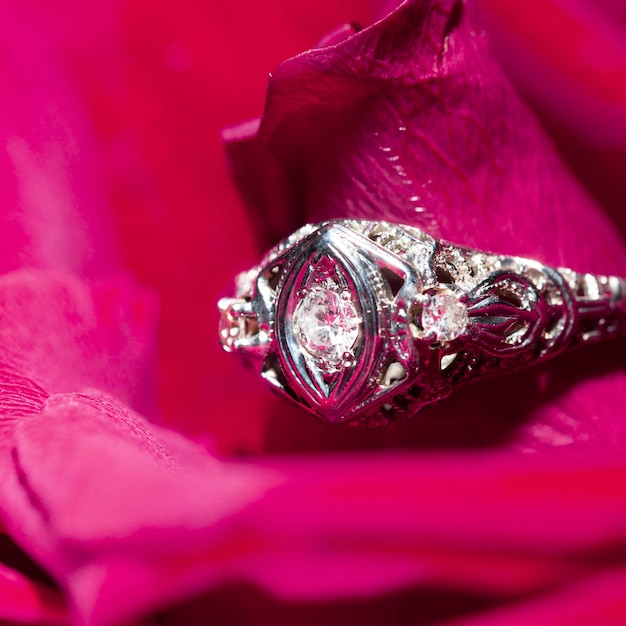 Platinring mit einem Diamanten auf einer roten Rose, Nahaufnahme