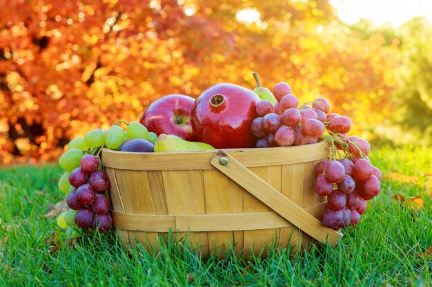 Plato de Acción de Gracias fruta manzanas peras granadas