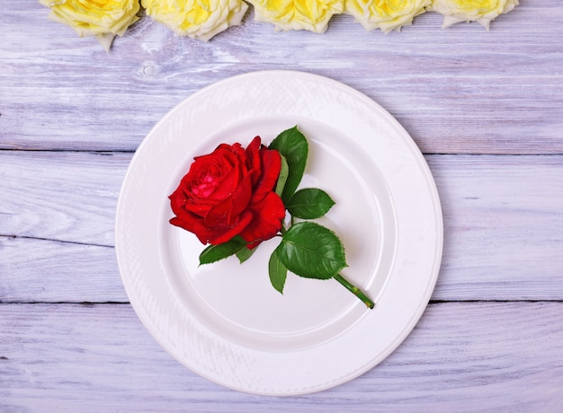 Plato blanco vacío con una rosa roja