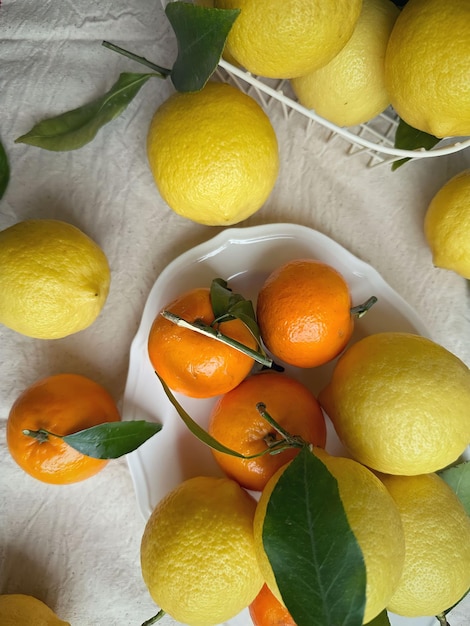 Un plato de cítricos con algunas naranjas