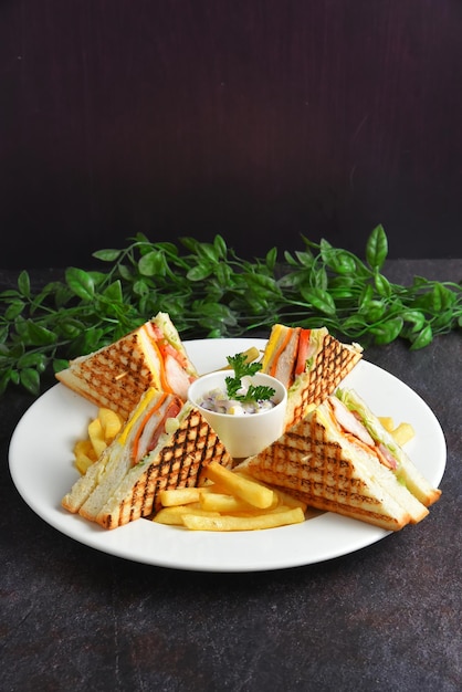 Foto un plato de comida con un sándwich y papas fritas en él