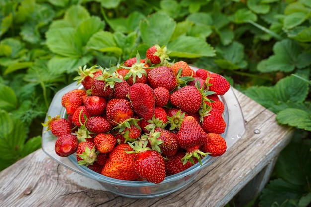 Un plato de fresas en una mesa de madera