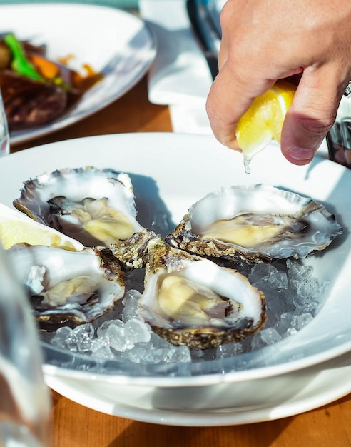 Foto plato gourmet de ostras del mediterráneo