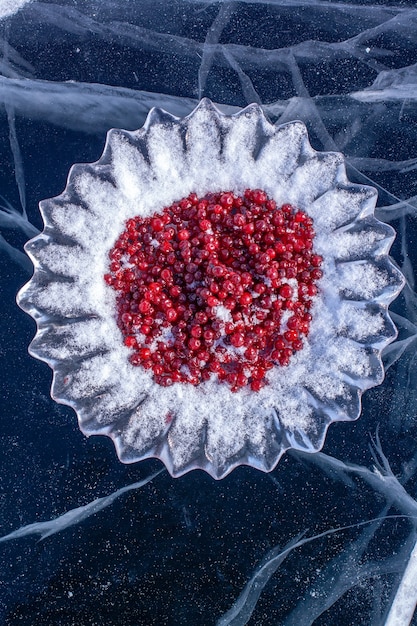 Foto un plato de hielo con arándanos espolvoreados con nieve sobre el hielo del lago baikal