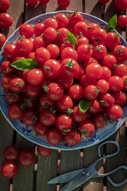 Plato lleno de tomates cherry maduros en una mesa de madera a la luz del sol