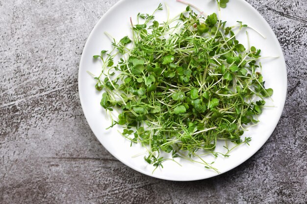 Plato con microvegetales sobre una mesa de hormigón