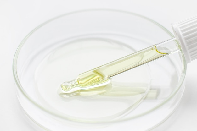 Plato de Petri Pipeta con suero o gel dorado o suero amarillo sobre un fondo claro
