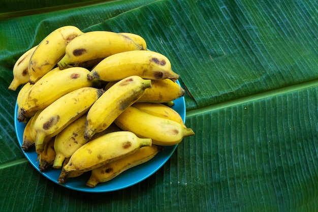 Plato con plátanos amarillos maduros en hoja de plátano amarillo grande