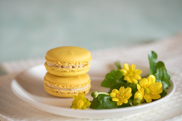 Plato de porcelana macarons con bonita flor sobre mesa de madera azul