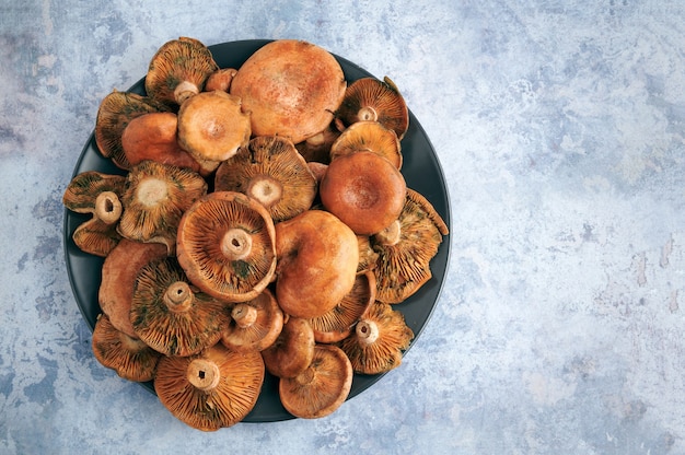 Foto plato de rovellons o niscalos, setas típicas de otoño