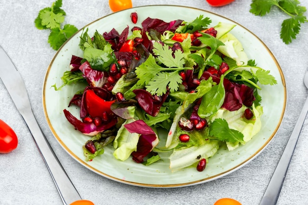 Plato vegano de ensalada de verduras de primavera