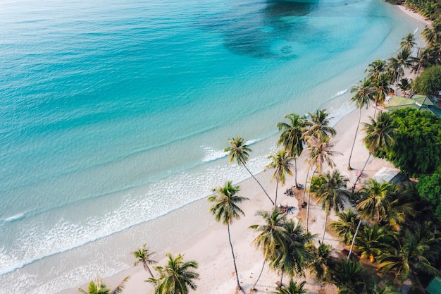 Foto playa aérea y cocoteros en una isla tranquila por la mañana