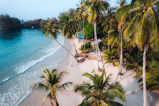 Foto playa aérea y cocoteros en una isla tranquila por la mañana