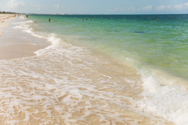 Una playa con agua azul y una persona en el agua.