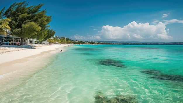 Una playa de aguas turquesas y una palmera al fondo