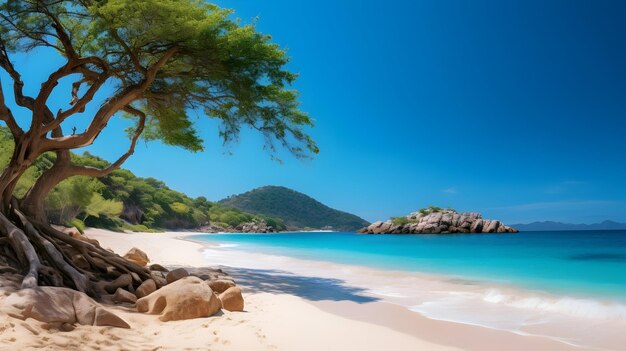 Una playa aislada con arena blanca y aguas turquesas