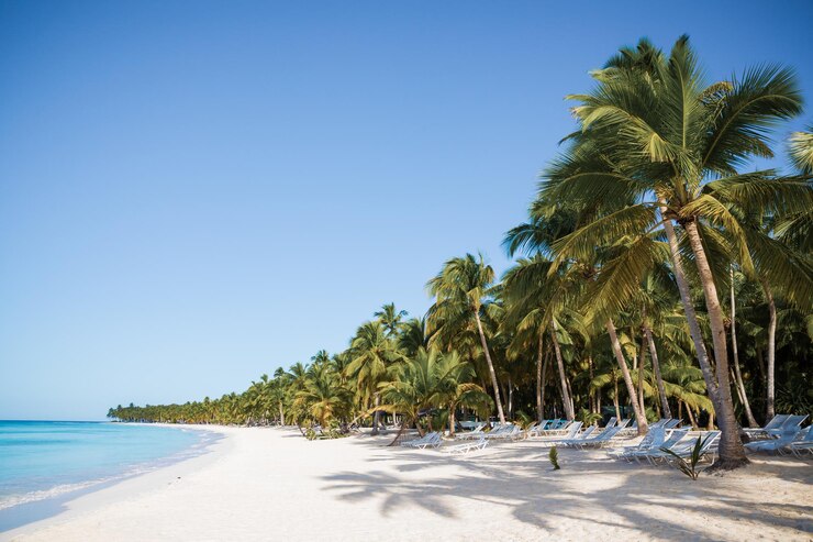 Playa aislada en la Isla Saona La Romana República Dominicana