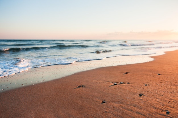 Playa al amanecer. Fondo de mar borroso