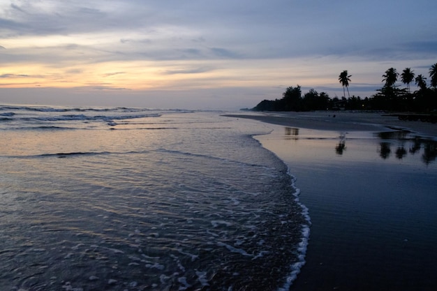 Una playa al atardecer con un perro en la arena.