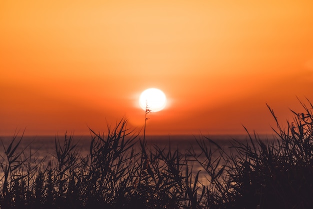 Playa al atardecer