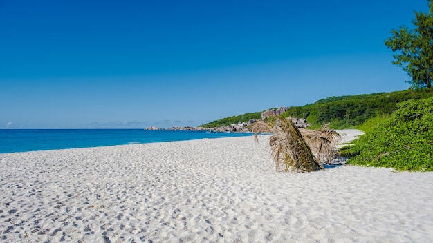 Foto playa de anse cocos la digue isla de seychelles playa blanca tropical con el océano de color turquesa playa de la digue cocos anse seychelles