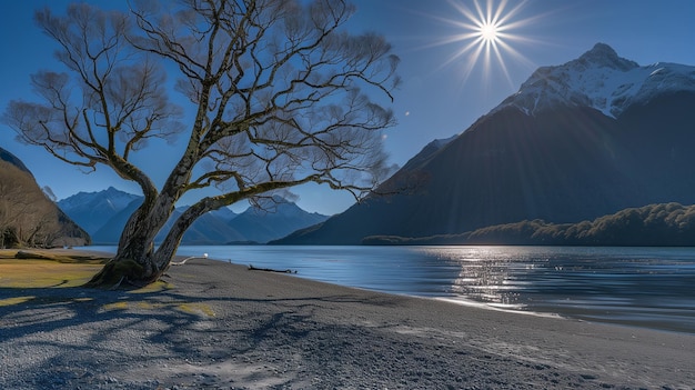 Foto una playa con un árbol y el sol brillando sobre el agua