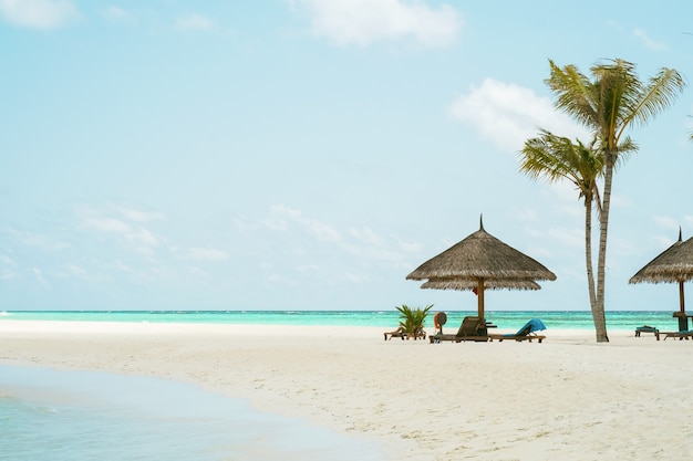 Playa de arena en el asador de la isla de Kuredu Maldivas