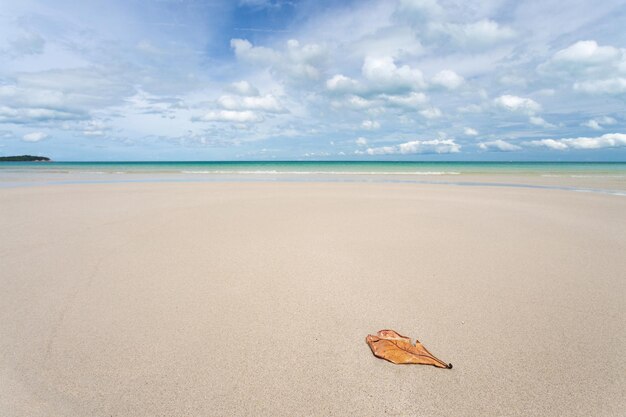 Playa de arena blanca Chaweng Beach Koh Samui Tailandia