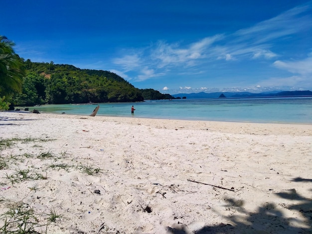 Foto playa de arena blanca con cielo azul y árboles