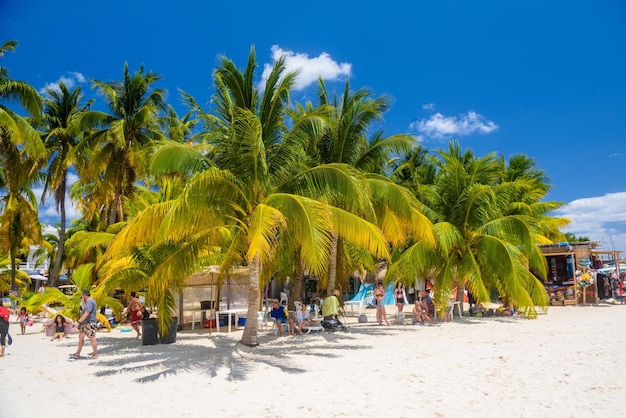 Playa de arena blanca con cocoteros Isla Mujeres Isla Mar Caribe Cancún Yucatán México