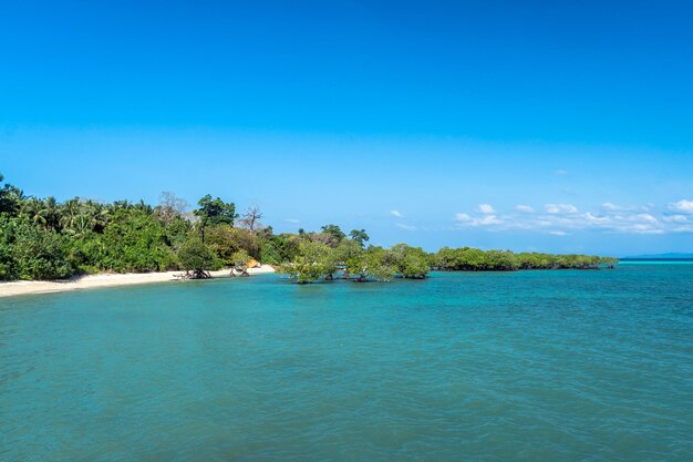 Playa de arena blanca en una isla desierta