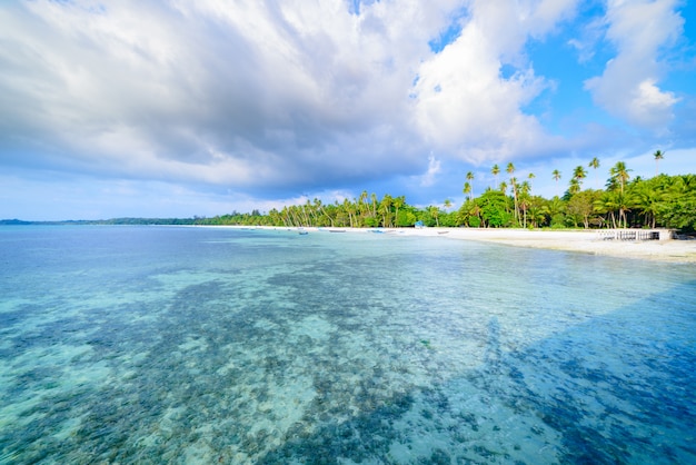 Playa de arena blanca con palmeras de coco agua turquesa transparente, destino de viaje tropical, playa desierta sin gente - Islas Kei, Molucas, Indonesia