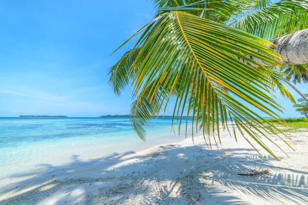 Playa de arena blanca con palmeras de coco, aguas turquesas, arrecifes de coral, destino de viaje tropical, playa desierta sin gente - Islas Banyak, Sumatra, Indonesia