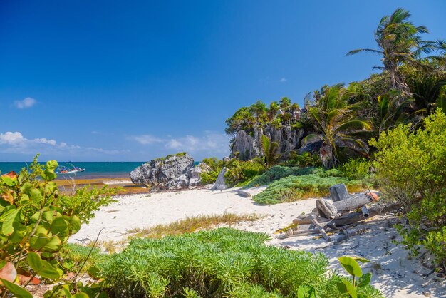 Playa de arena blanca con palmeras templo del dios descendente ruinas mayas en Tulum Riviera Maya Yucatán Mar Caribe México