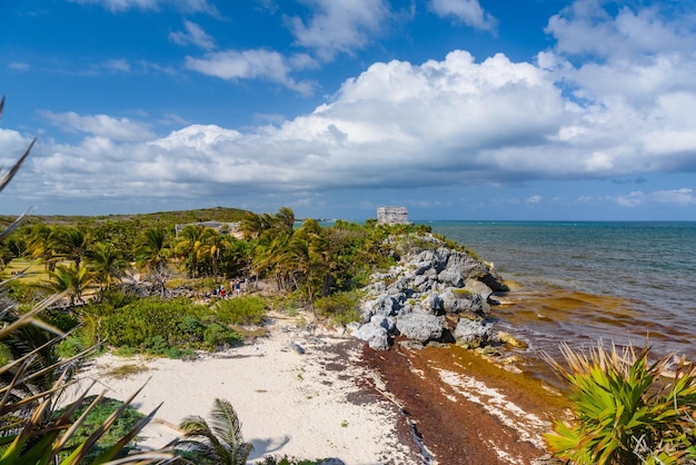 Playa de arena blanca con rocas y algas ruinas mayas en Tulum Riviera Maya Yucatán Mar Caribe México