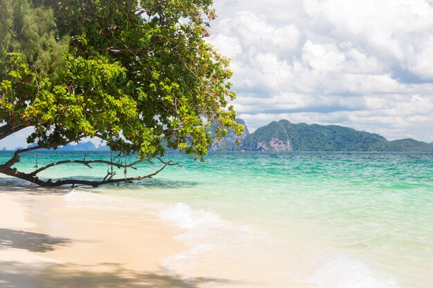 Playa de arena blanca tropical andaman.