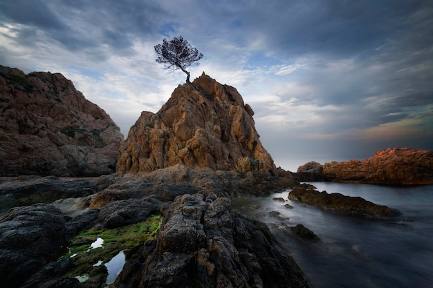 Playa de arena con cabo pequeño al amanecer.