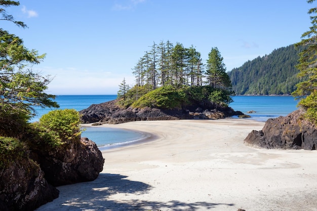 Playa de arena en la costa del Océano Pacífico Bahía de San Josef