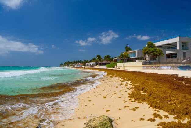 Playa de arena en un día soleado con hoteles en Playa del Carmen México