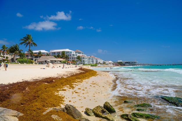 Playa de arena en un día soleado con hoteles en Playa del Carmen México