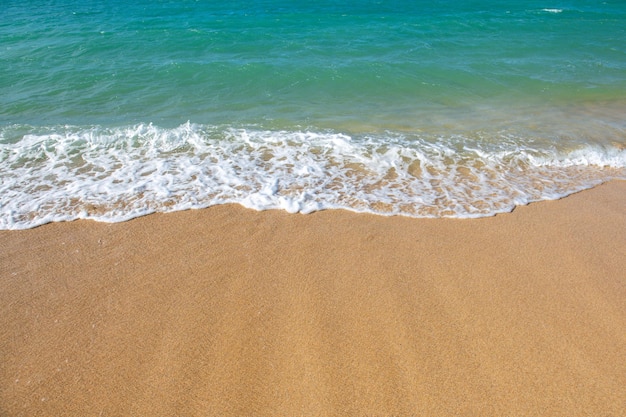 Playa con arena dorada, agua turquesa del océano, vista panorámica al mar, fondo natural para las vacaciones de verano