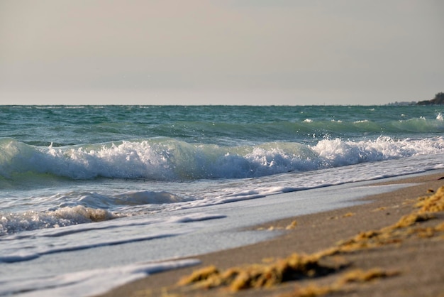 Playa de arena junto al mar con olas espumosas aplastando en la orilla