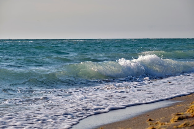 Playa de arena junto al mar con olas espumosas aplastando en la orilla