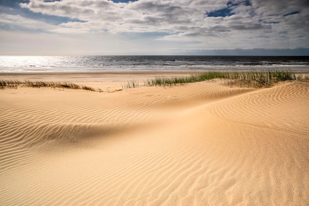 playa de arena en el mar del Norte en un día soleado