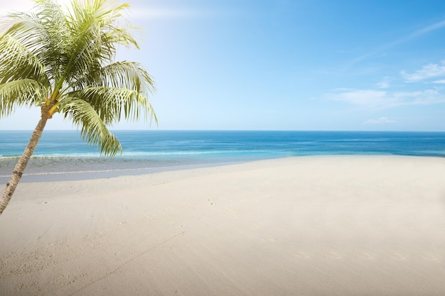 Playa de arena con el océano azul