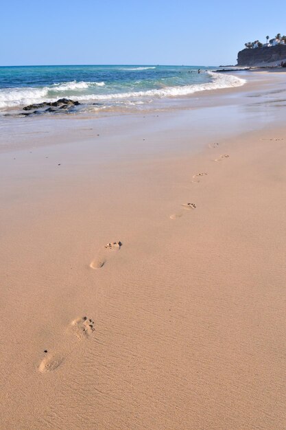 La playa de arena del océano